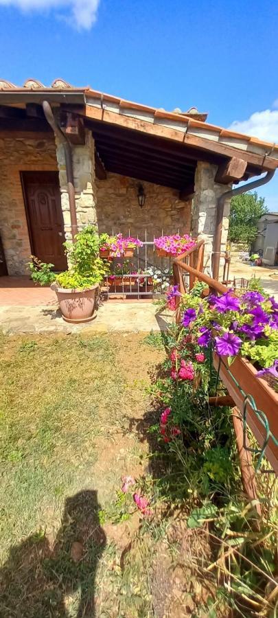 Agriturismo La Casina ซาตูร์เนีย ภายนอก รูปภาพ